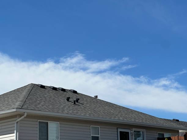 Best Roof Insulation Installation  in Midway North, TX